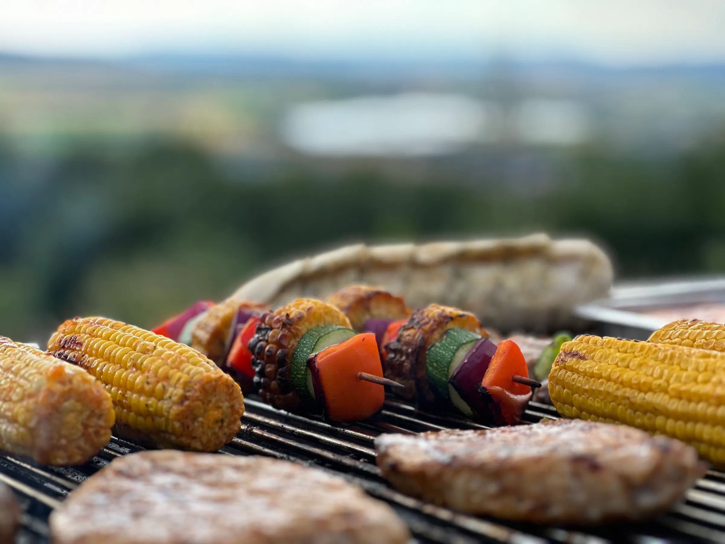 Grillen auf der Terrasse mit Panoramablick über Northeim